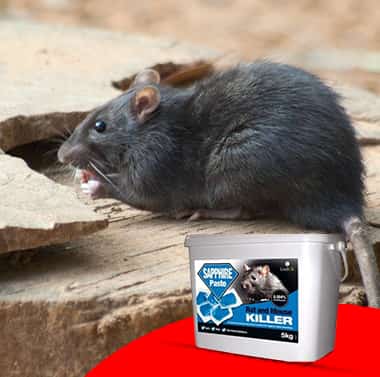 Rodenticides Chemicals